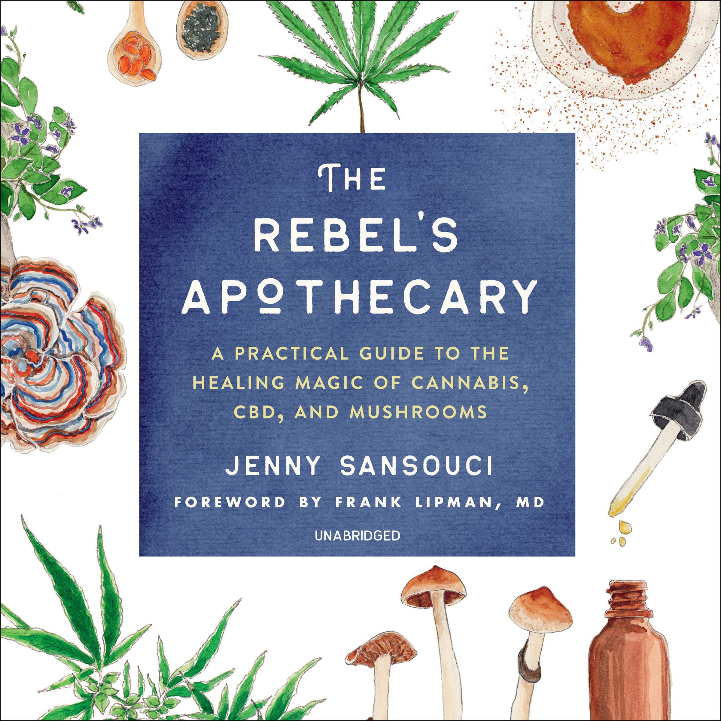 Cover art for The Rebel's Apothecary