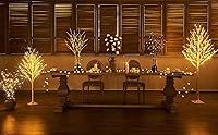 Vista 4 de LITBLOOM Lighted White Birch Twig Branches 30IN 150 LED Plug in with Timer and Dimmer, Artificial Tree Branch with Lights for Indoor Outdoor Home