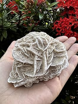デザートローズ 石膏 大きめ 手のひらサイズの大きな石膏デザートローズ - Etsy 日本