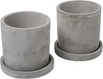 Ensemble de 2 Moderne 4-Inch Pots de planteur à sucents en ciment gris non glacé avec soucoupe amovible