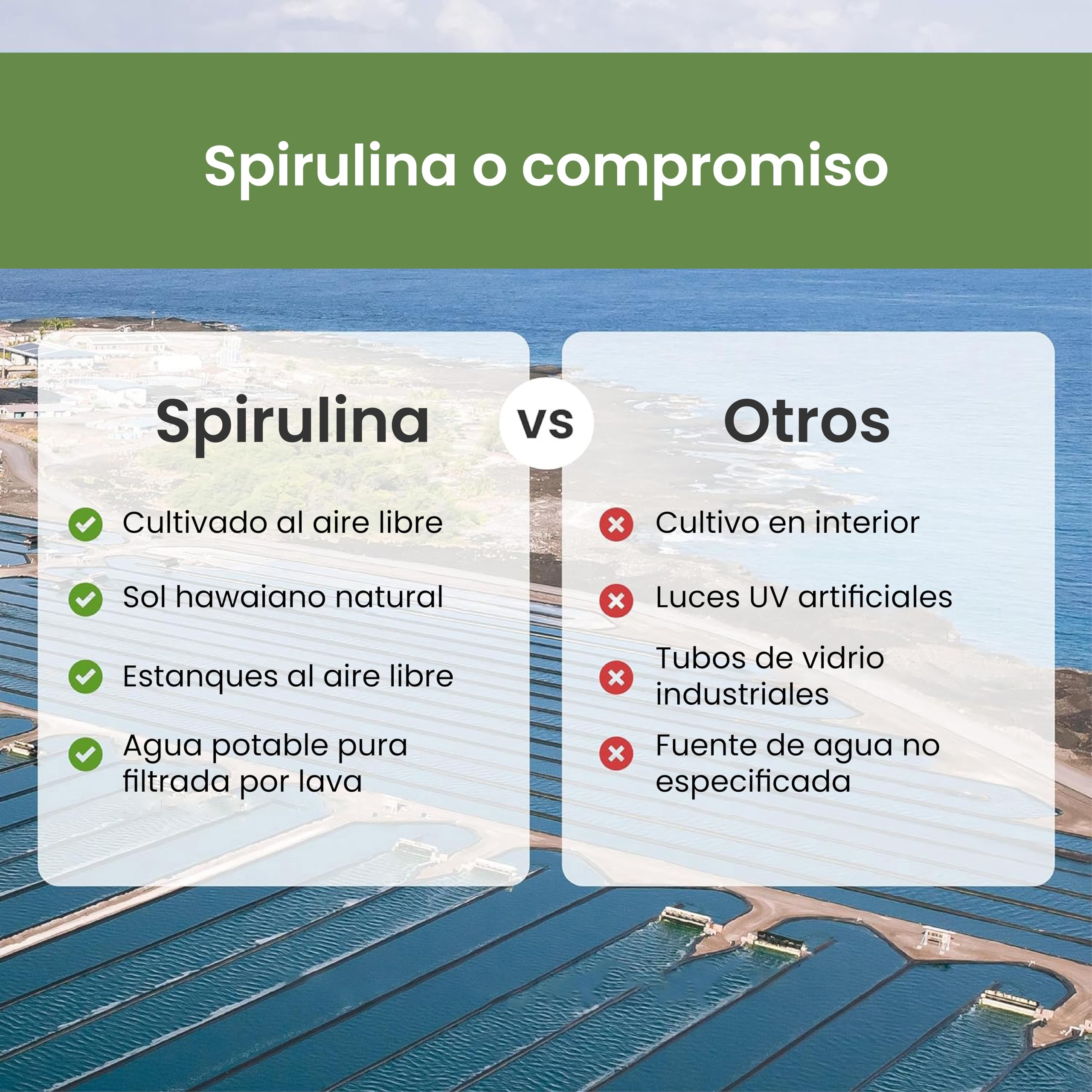 Nutrex Hawaii, Pure Hawaiian Spirulina, 454g Polvo Vegano, Probado en Laboratorio, Sin Gluten, Sin Soja, Vegetariano