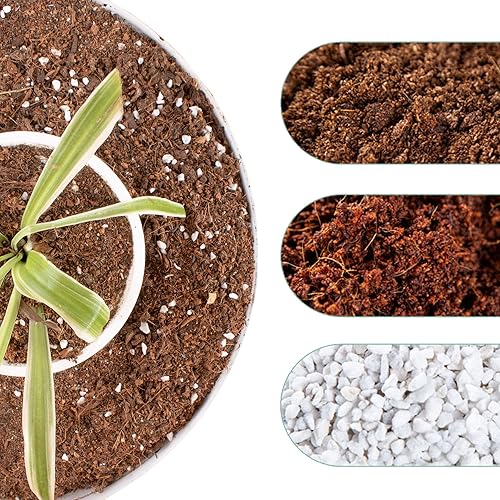 Tierra para macetas de 6 cuartos de galón mezcla orgánica para macetas para plantas de interior y exterior mezcla de tierra para suculentas y cactus