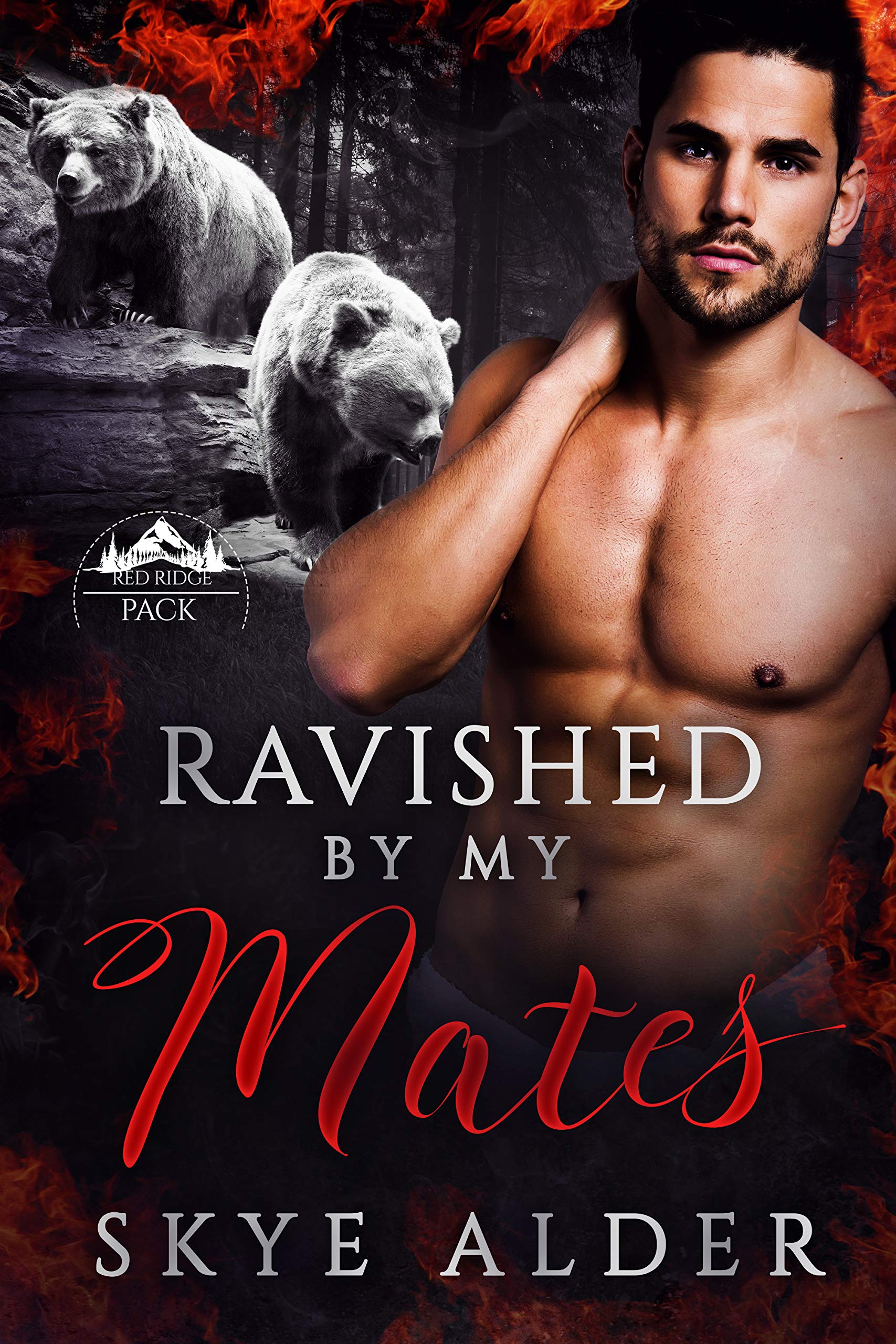 Cover of Ravished by My Mates