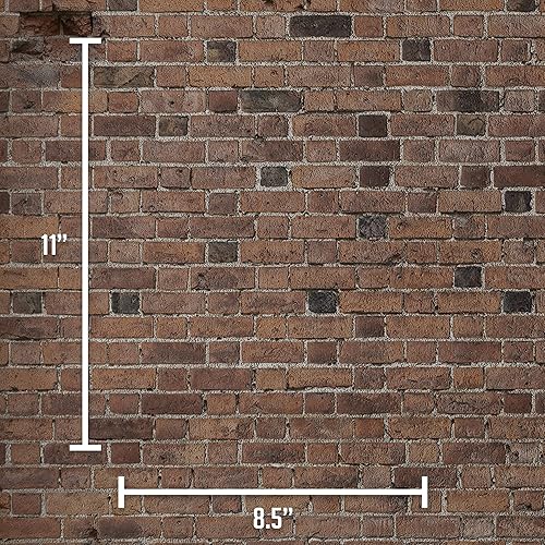 Miniatura 6 de NCAA Metal Parking Sign 8.5" x 11" - Great for Man Cave, Bed Room, Office, Home Décor