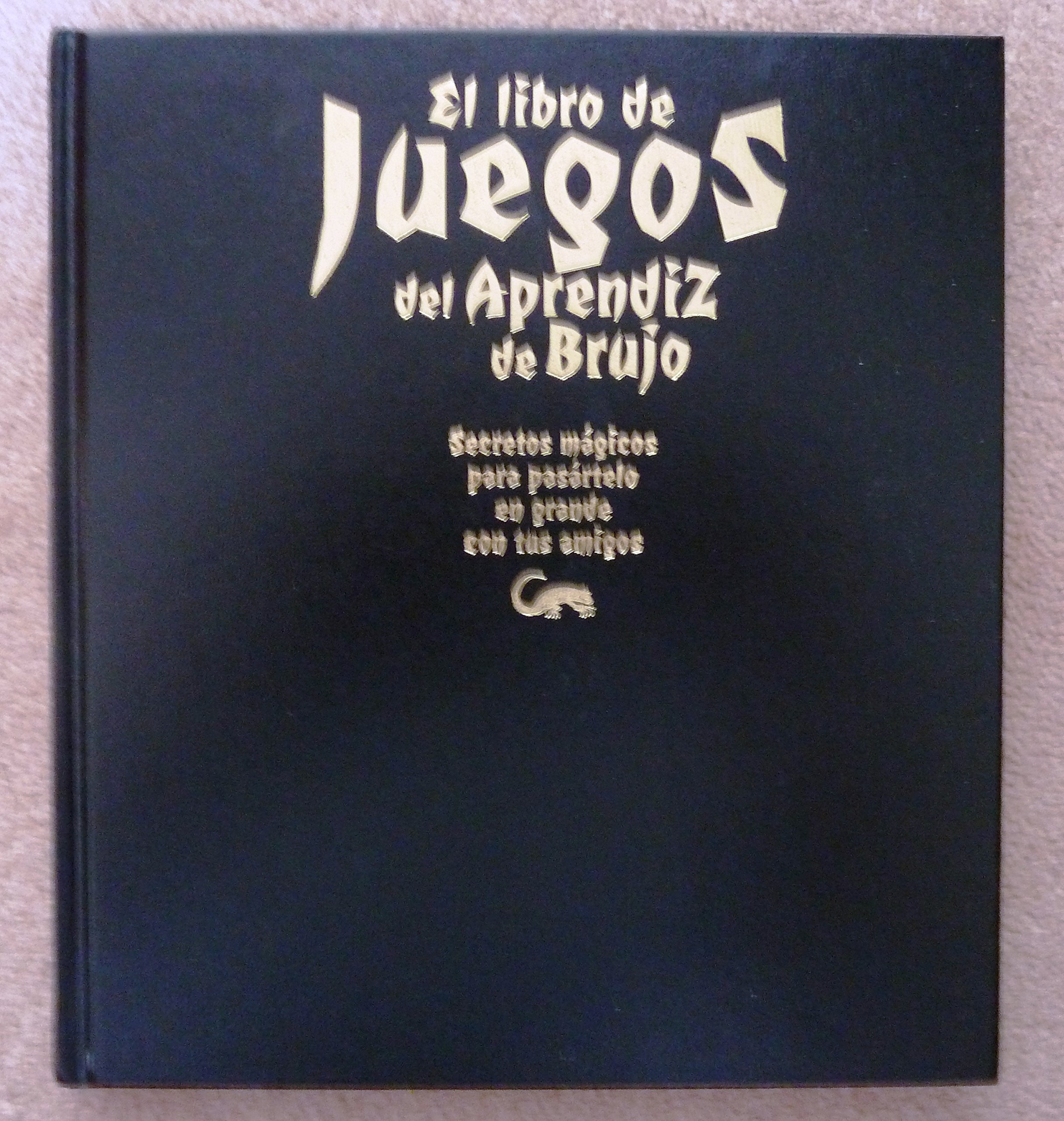 Livre de jeux d'apprenti sorcier cadeau d'anniversaire original thématique magique