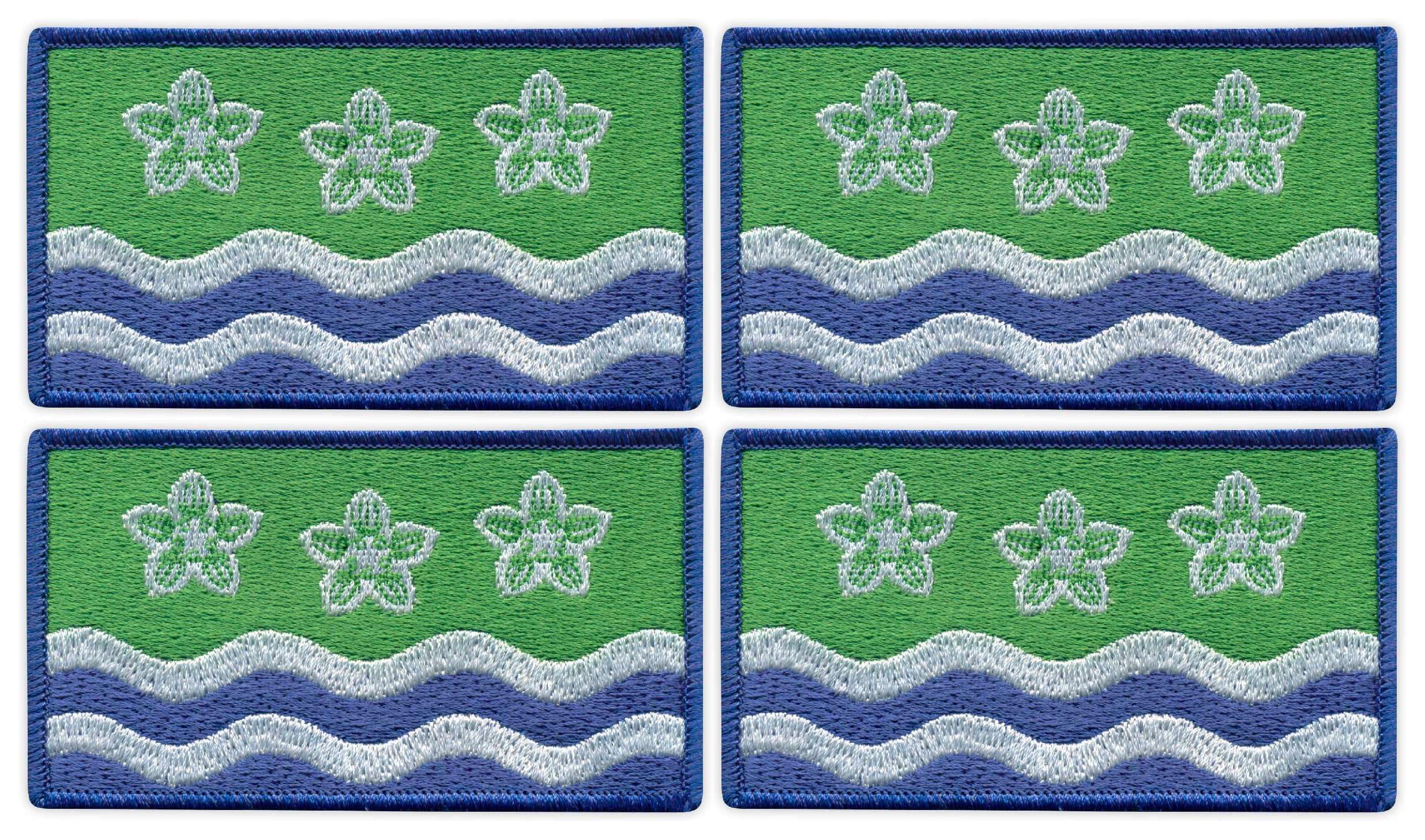 Juego de cuatro – Bandera de Patchion de Cumberland – Parte trasera termosellada – Parche bordado/insignia/emblema