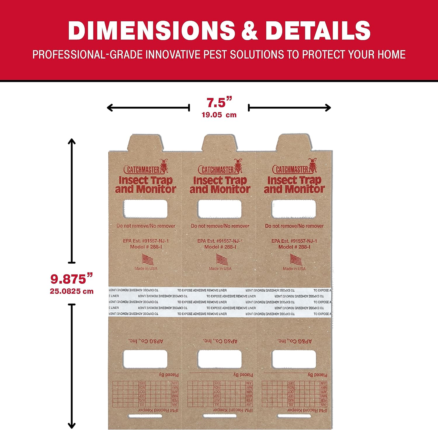 Catchmaster Mouse & Insect Glue Board Set, 36 Glue Boards & 30 Spider & Insect Glue Traps, Indoor Roach Trap for Home, Garage & Shed, Pet Safe Pest Control