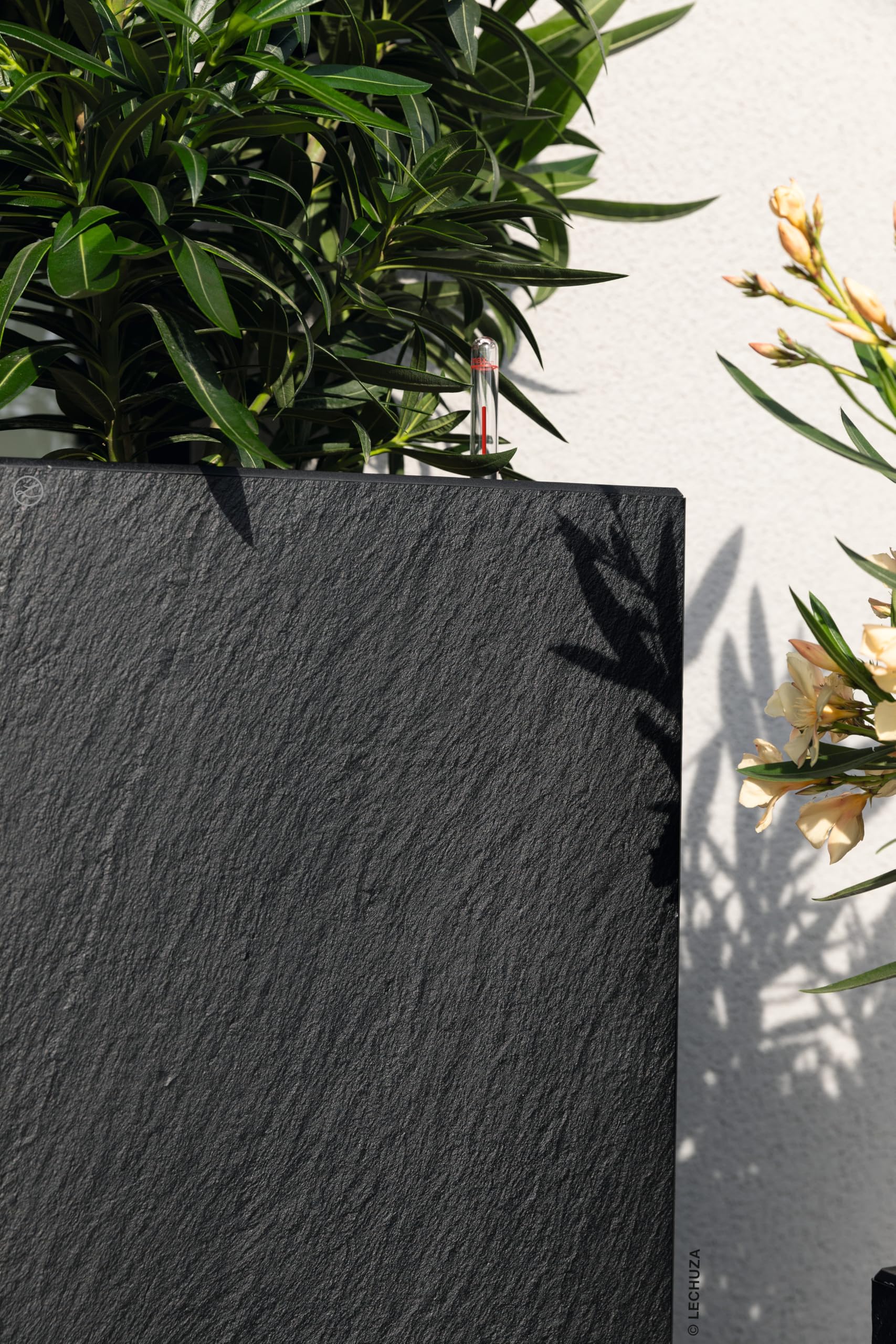 LECHUZA - Vaso per piante Canto Slatestone 30 Low Dark Grey, con sistema di irrigazione, indicatore del livello dell'acqua e inserto per piante, effetto ardesia, 30 x 30 x 30 cm, 15931