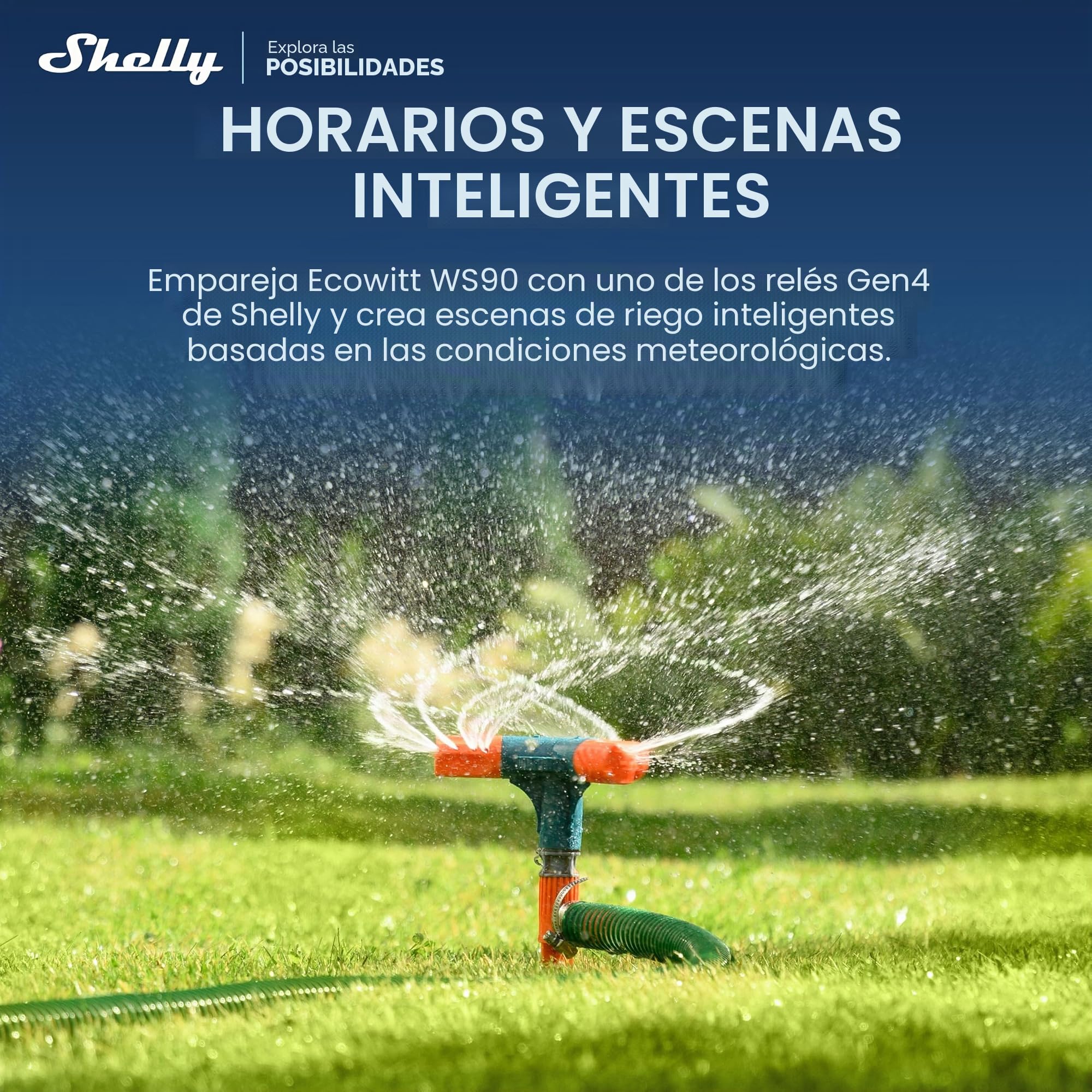 Ecowitt WS90 – Estación meteorológica inalámbrica para exterior, Impulsada por Shelly, Bluetooth y Zigbee, Termómetro e higrómetro, Medición de viento, lluvia, UV, Barómetro, Alimentación solar