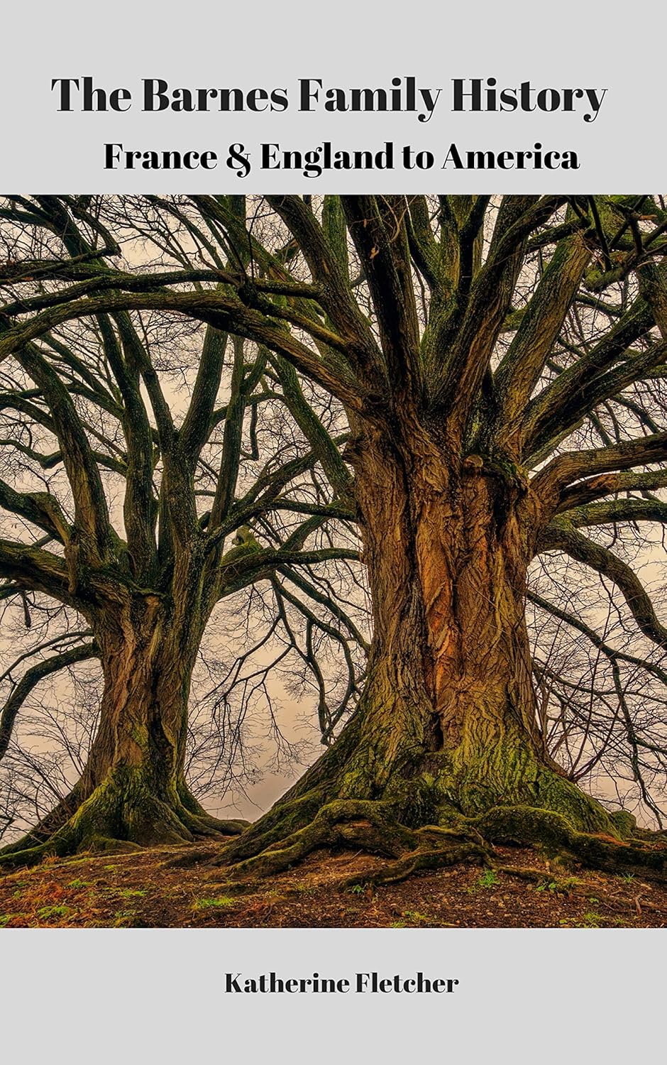 The Barnes Family History France & England to America