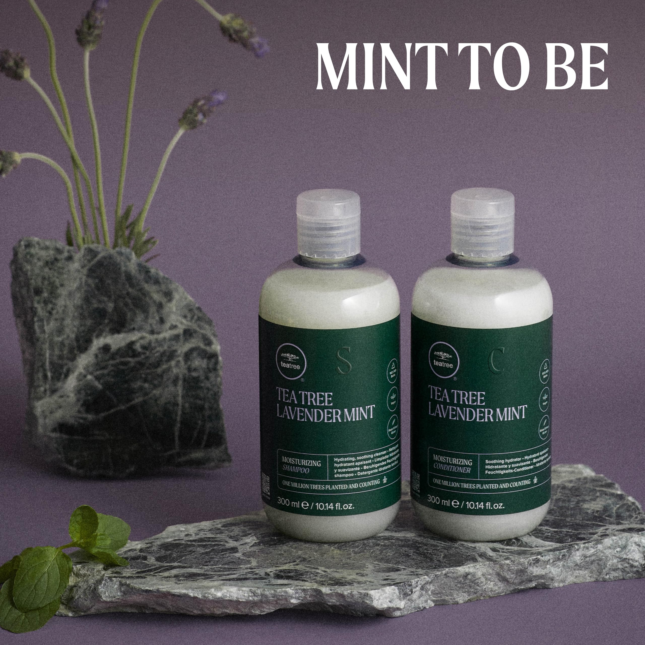 Paul Mitchell Tea Tree Lavender Mint Moisturizing Shampoo - Feuchtigkeits-Shampoo für trockenes, geschädigtes Haar, wohltuende Haar-Wäsche