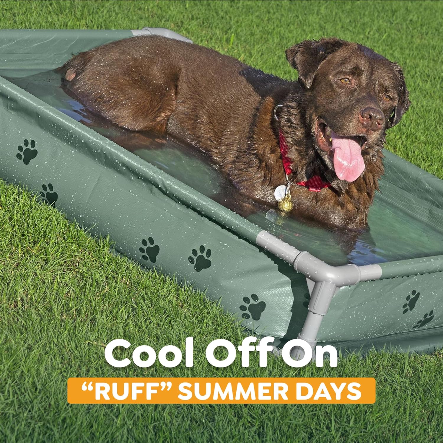 H2OGO! Pet Play Pool & Elevated Bed, Fetchin' Fun 2-in-1 Metal Frame Pool and Raised Mesh Bed for Small, Medium, and Large Dogs up to 99 lbs