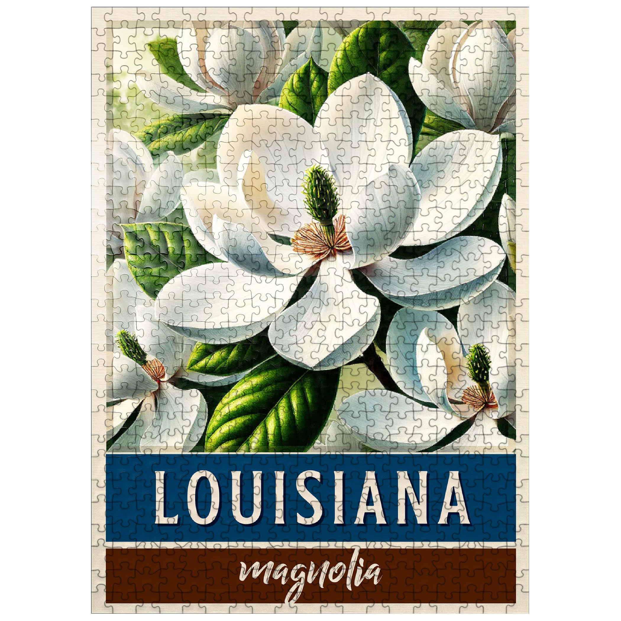 MyPuzzle State Flowers Series: Louisiana, Magnolia - Premium 500 Piece Jigsaw Puzzle for Adults