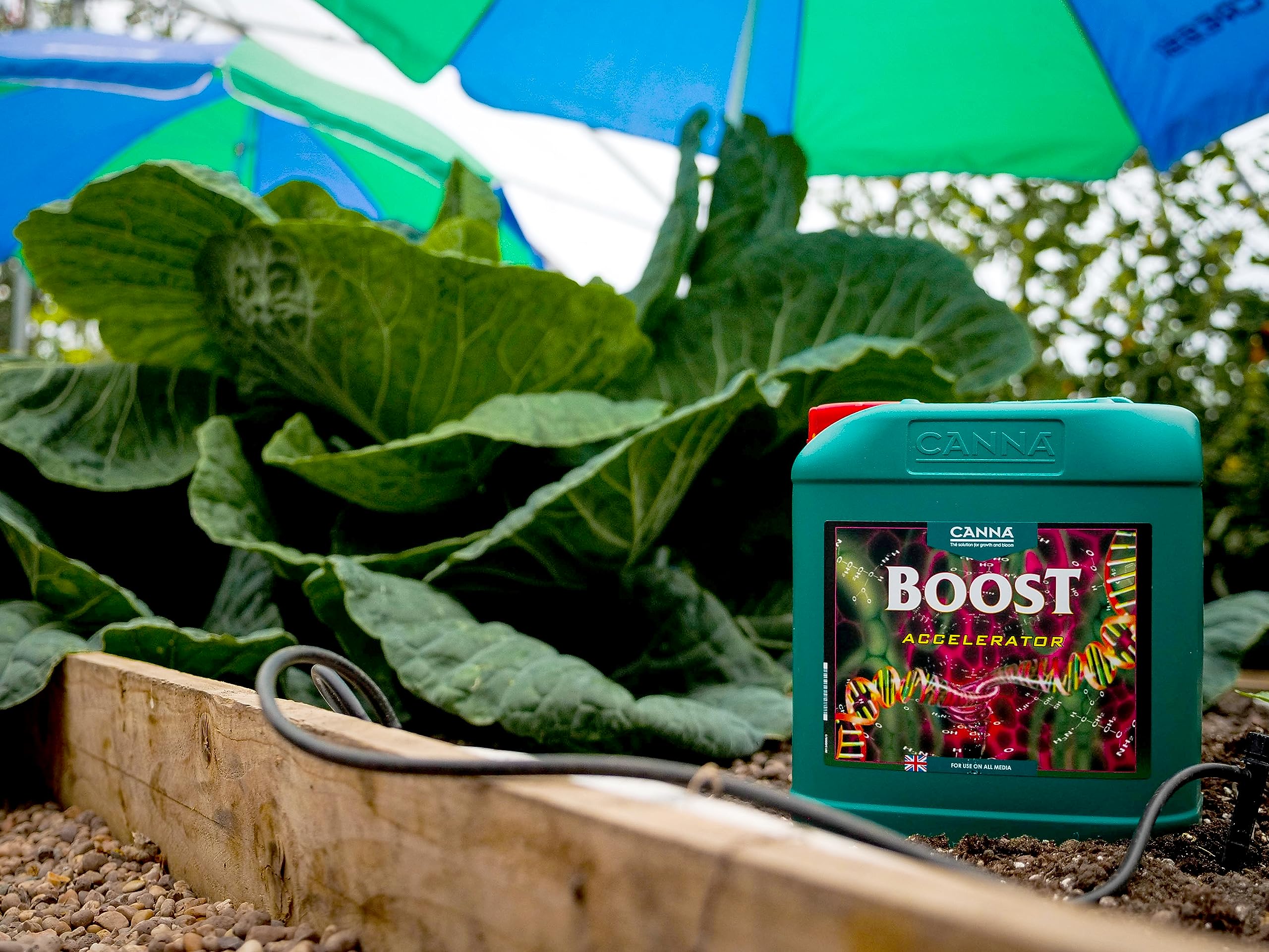 Canna Boost Accelerator