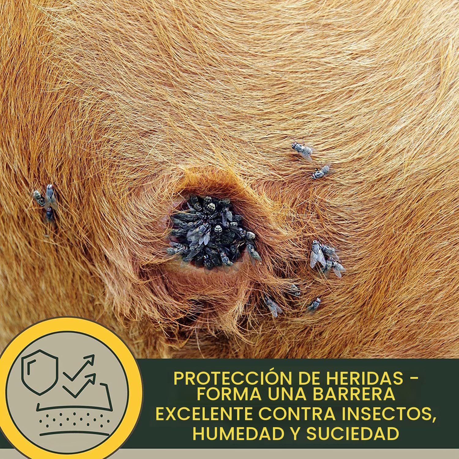 Pomada de Zinc Caballo Perro Gato I para Heridas I Crema de Zinc para Heridas Abiertas I para Eczema con Zinc para Picazón de los Malleros para Curación de Heridas I Curación de Heridas Animales 250ml