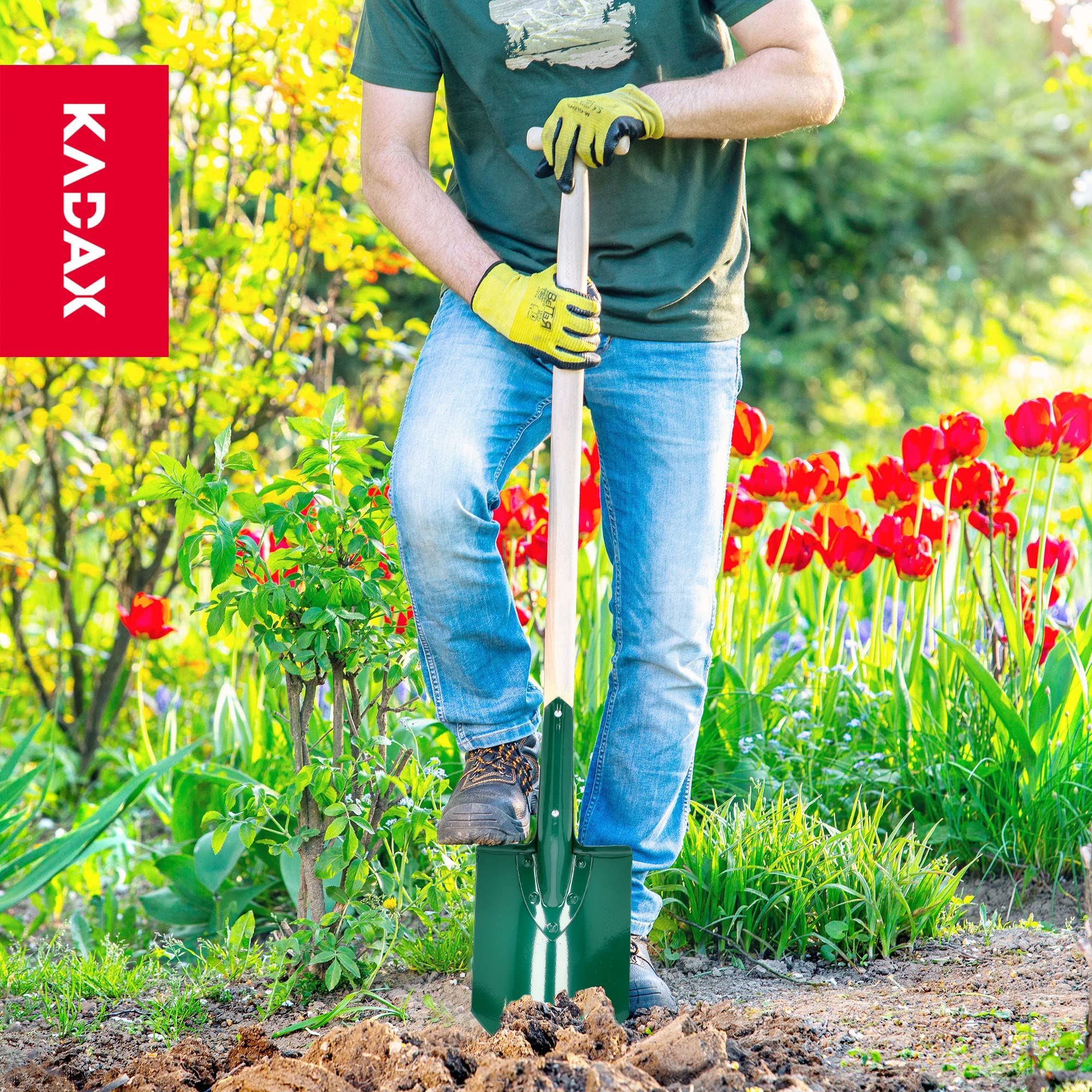 Spaziali di Kadax, patate giardiniere fossa, pala da giardino con manico in legno, pala, pala tomba, picche tombe giardino, pavimenti duri, pietrosi, vanga vegetale (appunti, mantello a T)