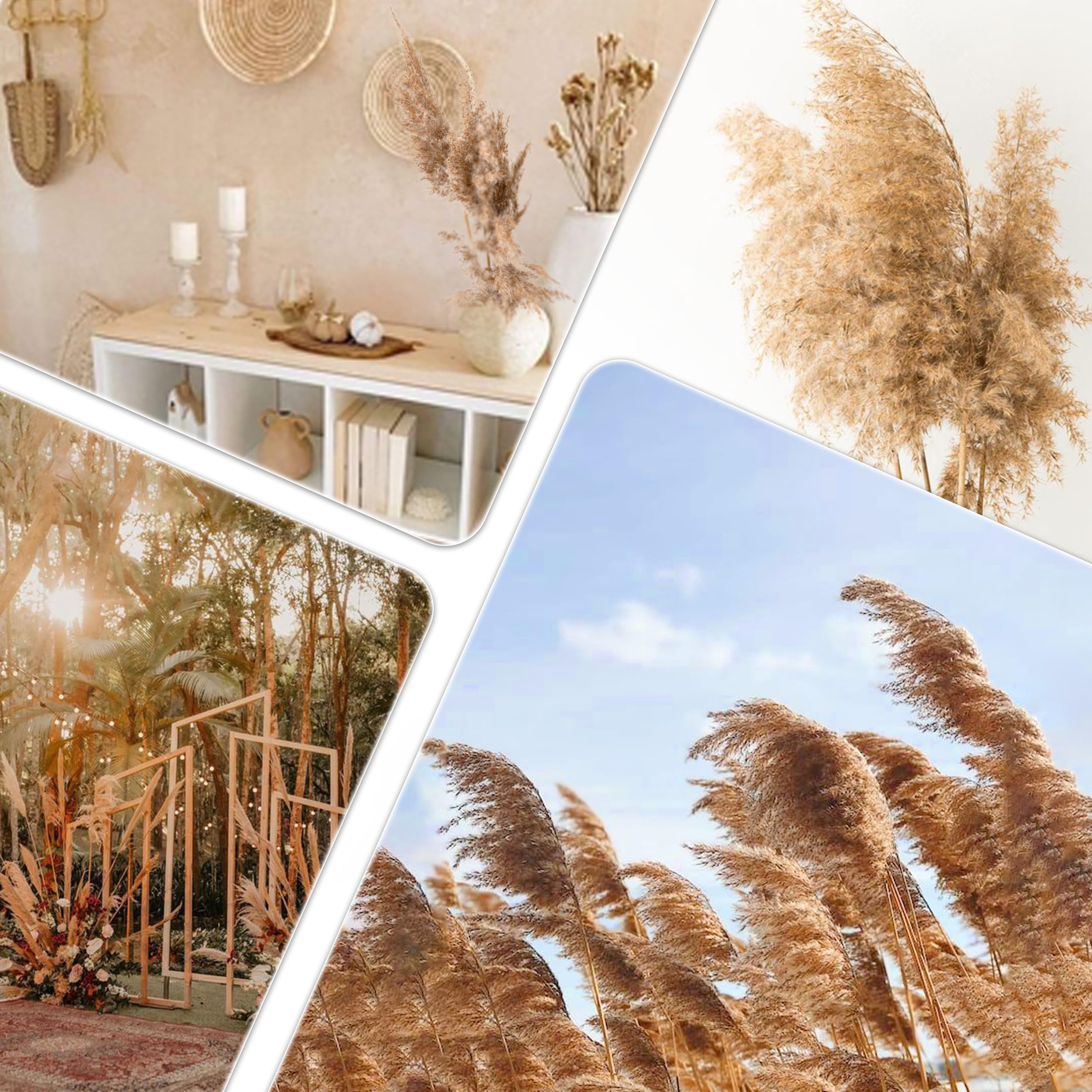 ZJTAPE Piume Erba Della Pampas - 45 pezzi Erba di Pampa Essiccata Naturale, fronde soffici di erba di Pampa marrone, Bouquet di Fiori Secchi per tavolo da matrimonio, decorazioni per la casa Boho