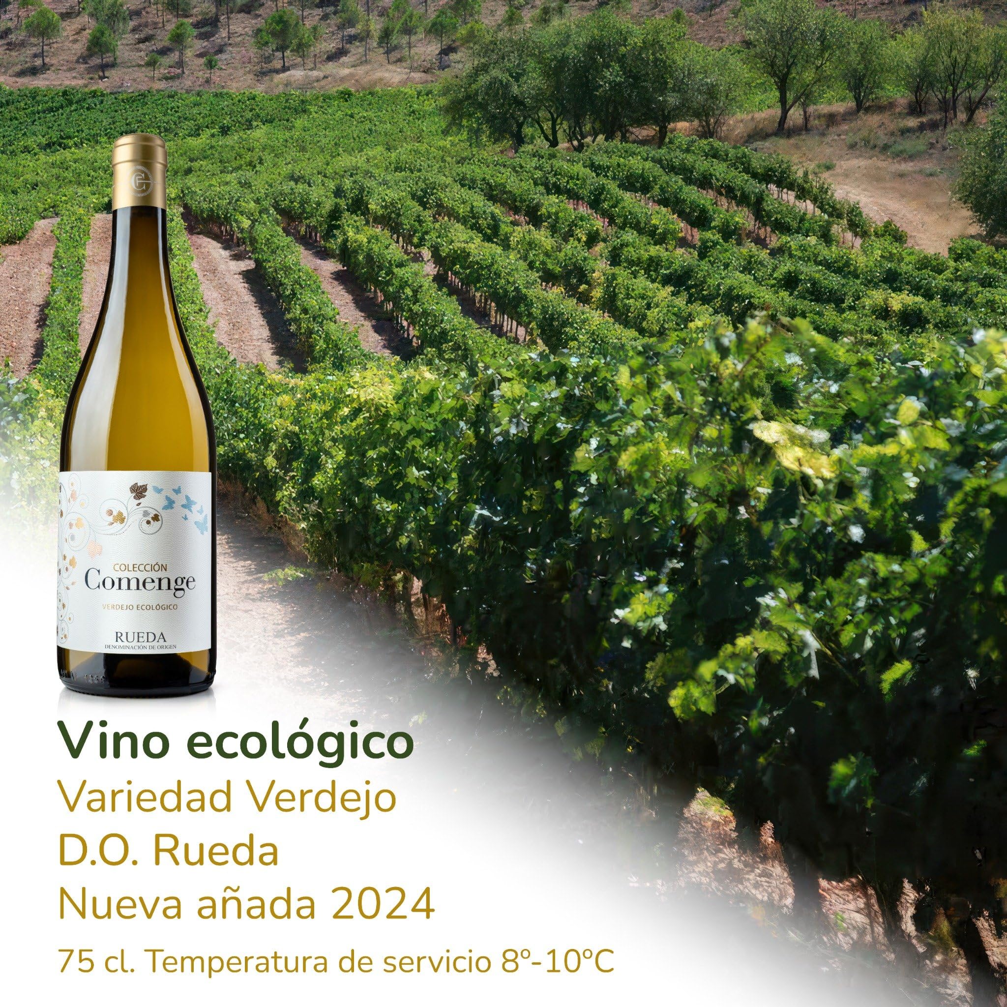 Vino Blanco Verdejo" 2024 D.O. Rueda – Pack 4 vino blanco + Incluye Sacacorchos Premium - Verdejo Ribera del Duero DO Rueda - Caja regalo vinos blancos Bodegas Comenge