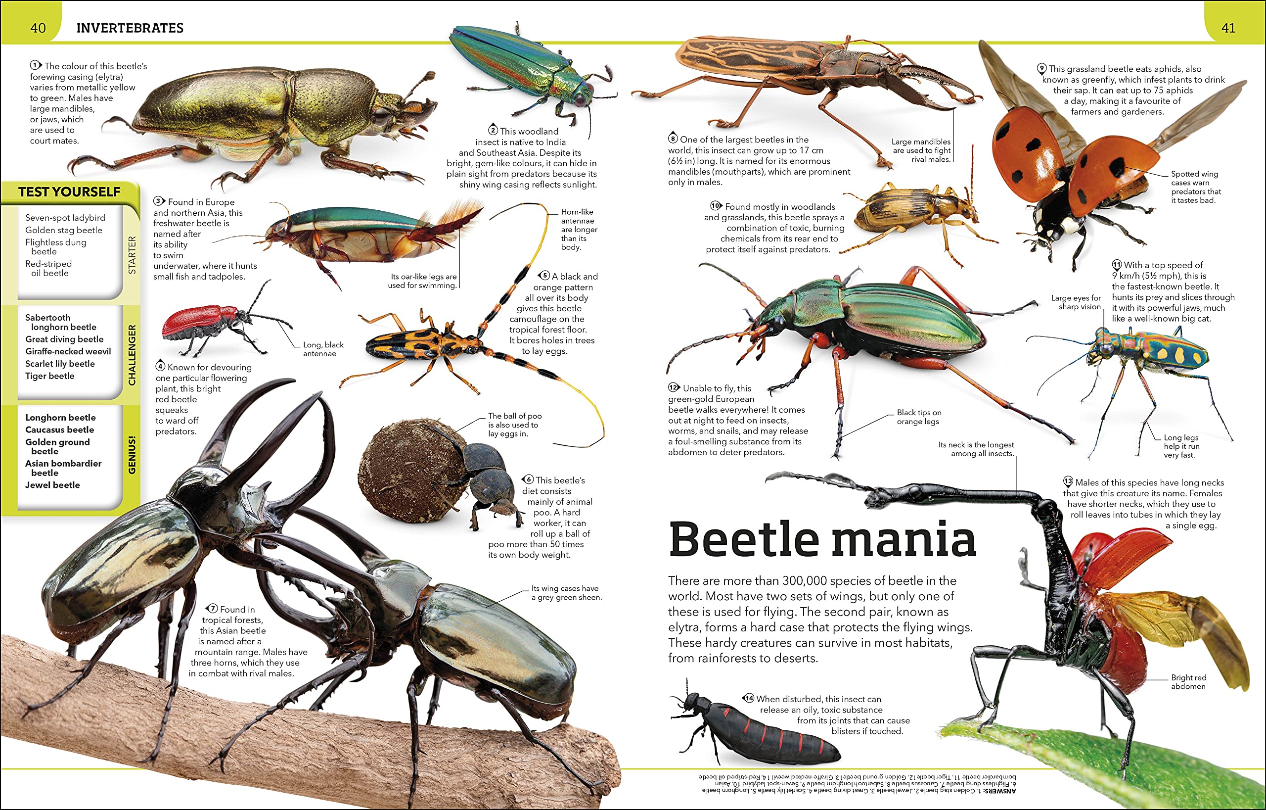 Animal Knowledge Genius!: A Quiz Encyclopedia to Boost Your Brain