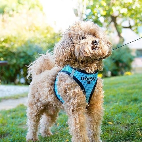 Miniatura 4 de Brd Gifts Arnés bordado para perro, sin tirones, con nombre del perro, 5 fuentes, 7 iconos, arnés tipo chaleco de malla para perros pequeños y