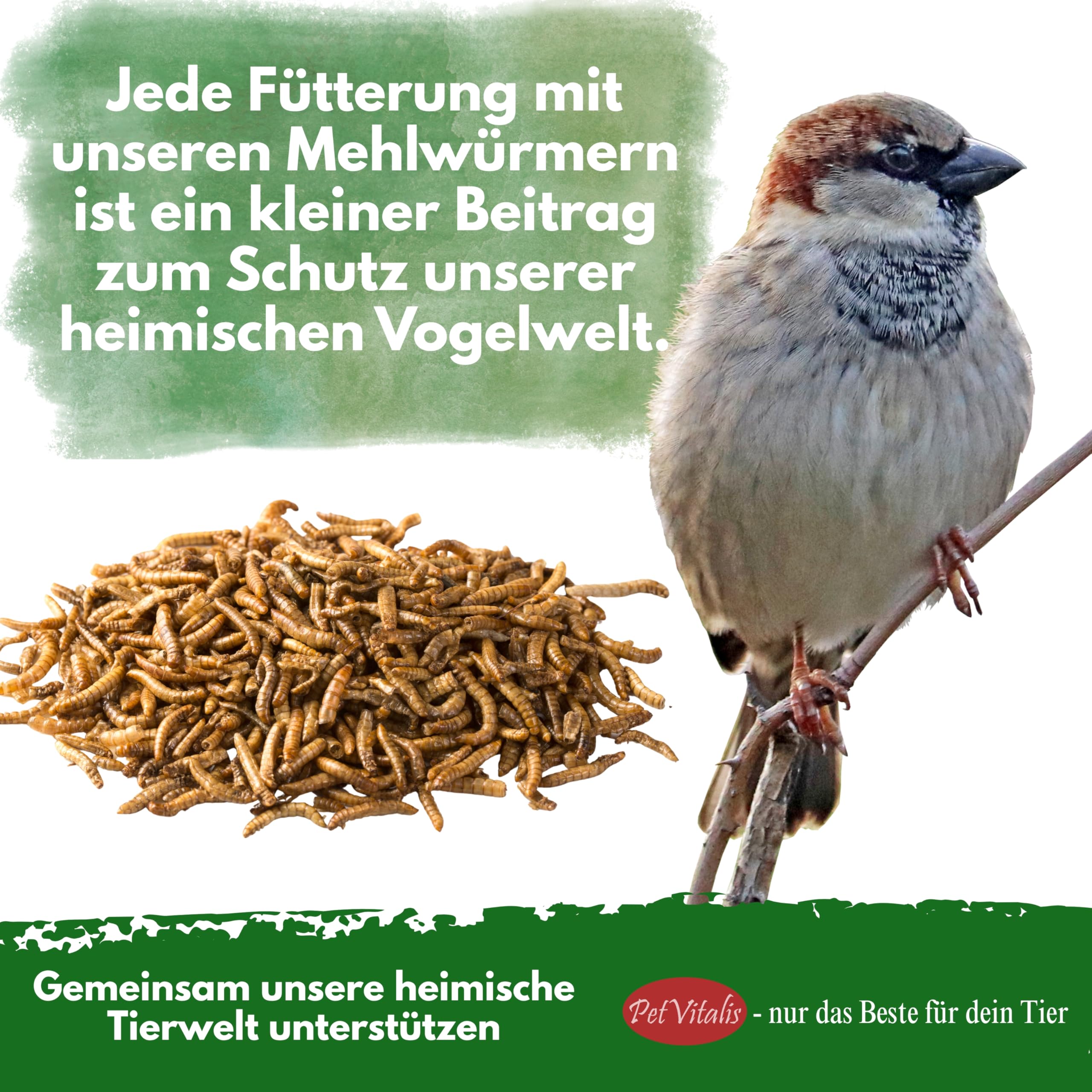 Mehlwürmer getrocknet 5 kg – Premium Einzelfuttermittel für Wildvögel, Ergänzung zum Vogelfutter – Proteinreicher Snack für Fische, Reptilien & Nager – Ganzjahresfutter für Igel & Eichhörnchen