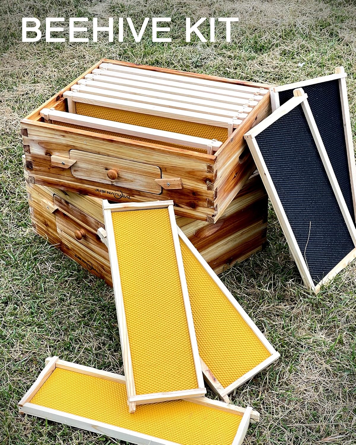 Bee Hive 10 Frame Deep Bee Box with Frames and Foundation, Beeswax Coated Langstorth Bee Hives for Bee Keeper, Beekeeping Supplies with Transparent Plastic Window