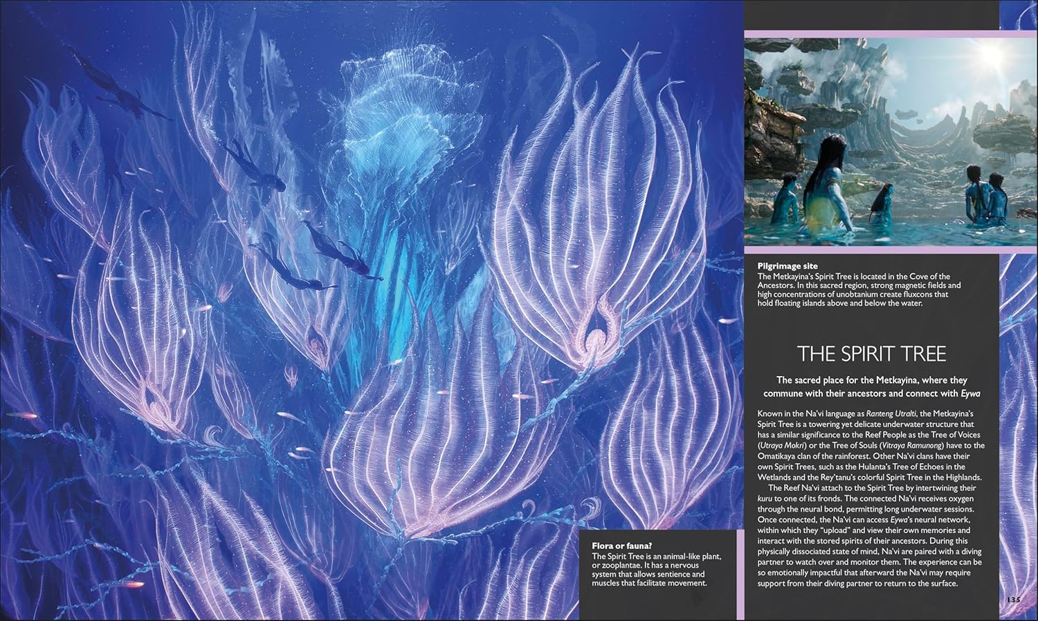 The World of Avatar Updated Edition      Paperback – November 4, 2025