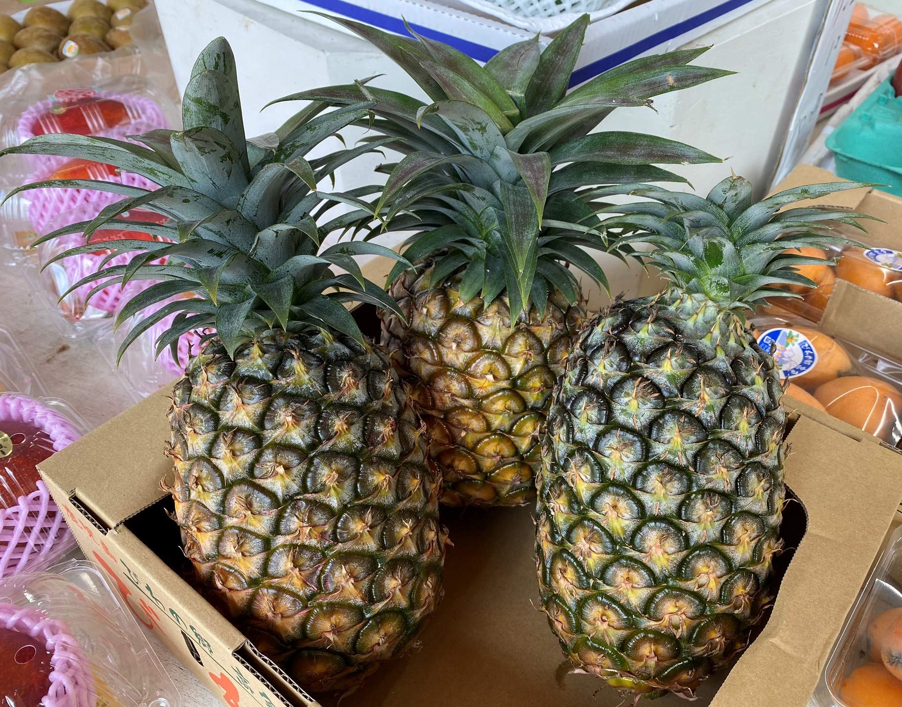 Amazon.co.jp: Delivered from Okinawa vegetable and vegetable shops