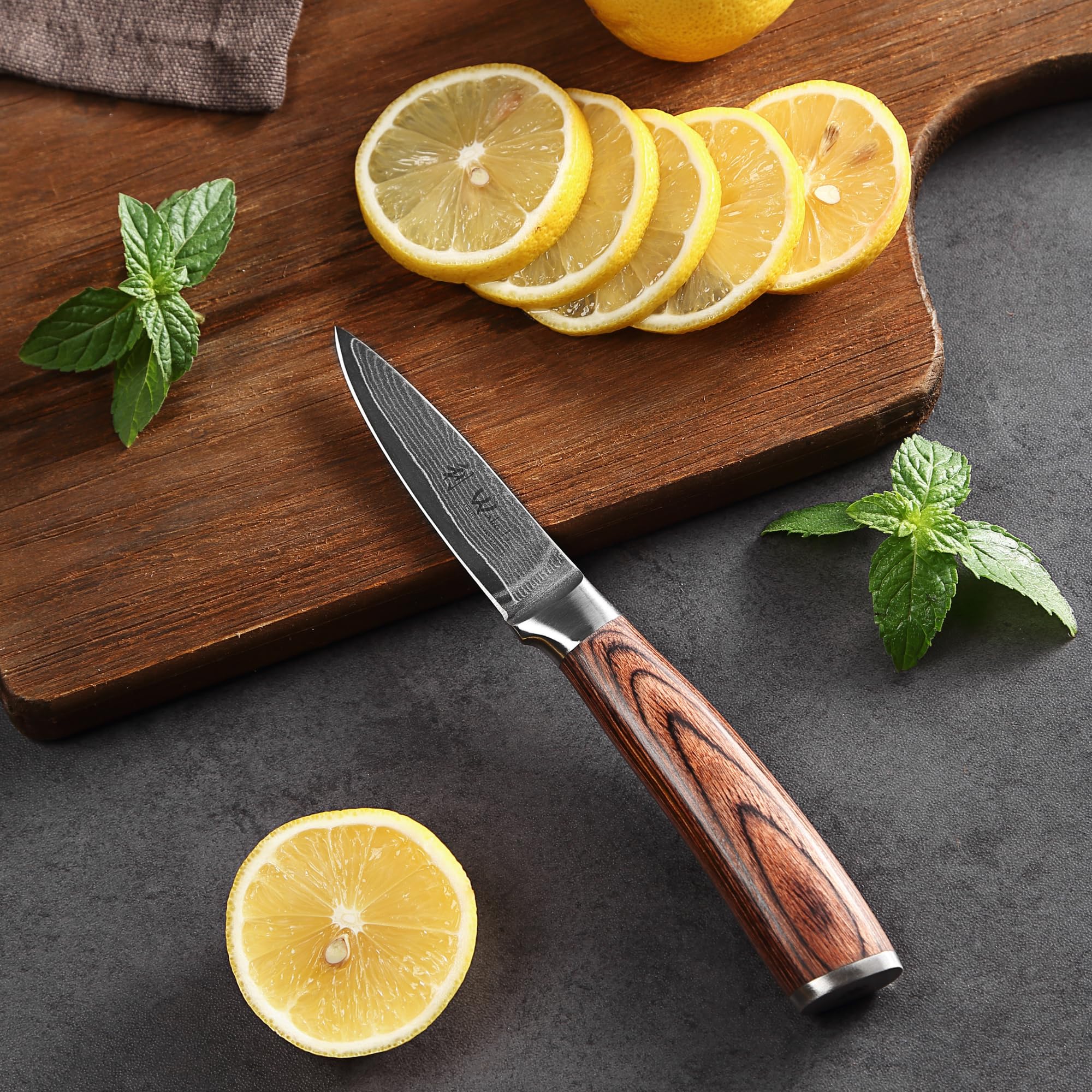WAKOLI EDIB juego de cuchillos de cocina de 5 piezas con bloque magnético, acero de damasco con núcleo VG10, hojas de 8,5 a 20 cm, chef, Santoku, carne, Santoku pequeño y cuchillo de oficio