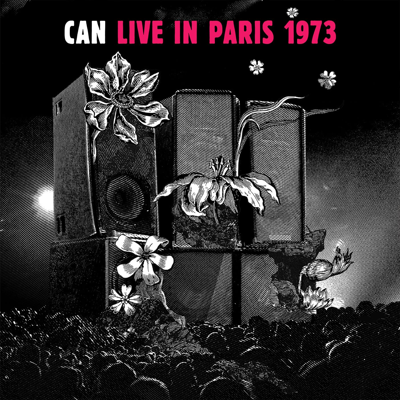 LIVE IN PARIS 1973 [VINYL]
