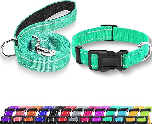 Maiiu Collar reflectante para perro con hebilla de bloqueo de seguridad, collares de nailon suaves y transpirables ajustables para perros pequeños,