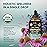 USDA Organic Lymphatic Drainage Supplement - Echinacea | Elderberry | Dandelion | Rosehip | Cleavers | Calendula | Burdock - Made in USA - Lymph System Drops - Immune Support, Cleanse & Detox, 4 fl oz