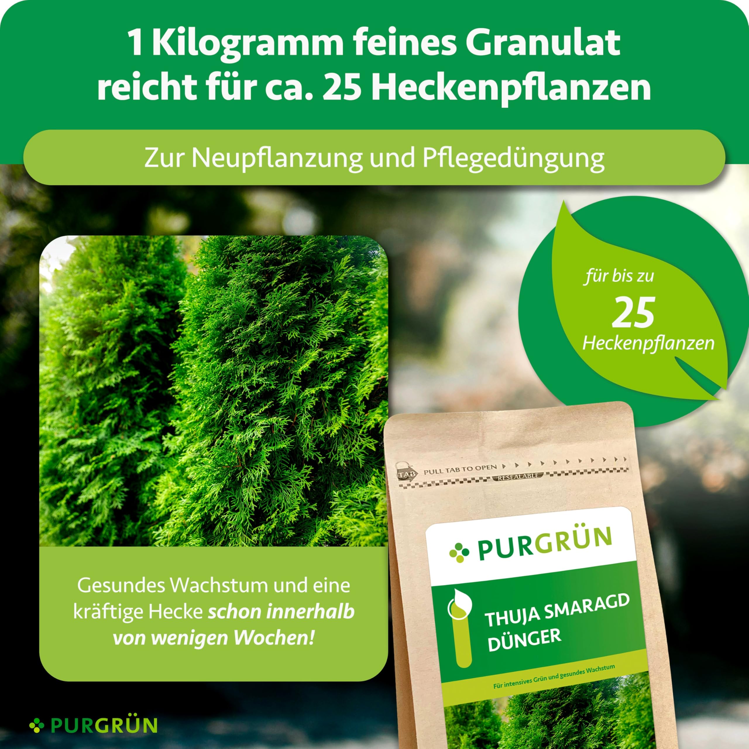 Thuja-Smaragd-Dünger 1 kg – Extra Magnesium schützt vor Nadelverfärbungen – Fördert ein dichtes Wachstum – Tonmineralien für einen gesunden Boden – Heckendünger für ca. 30 Pflanzen