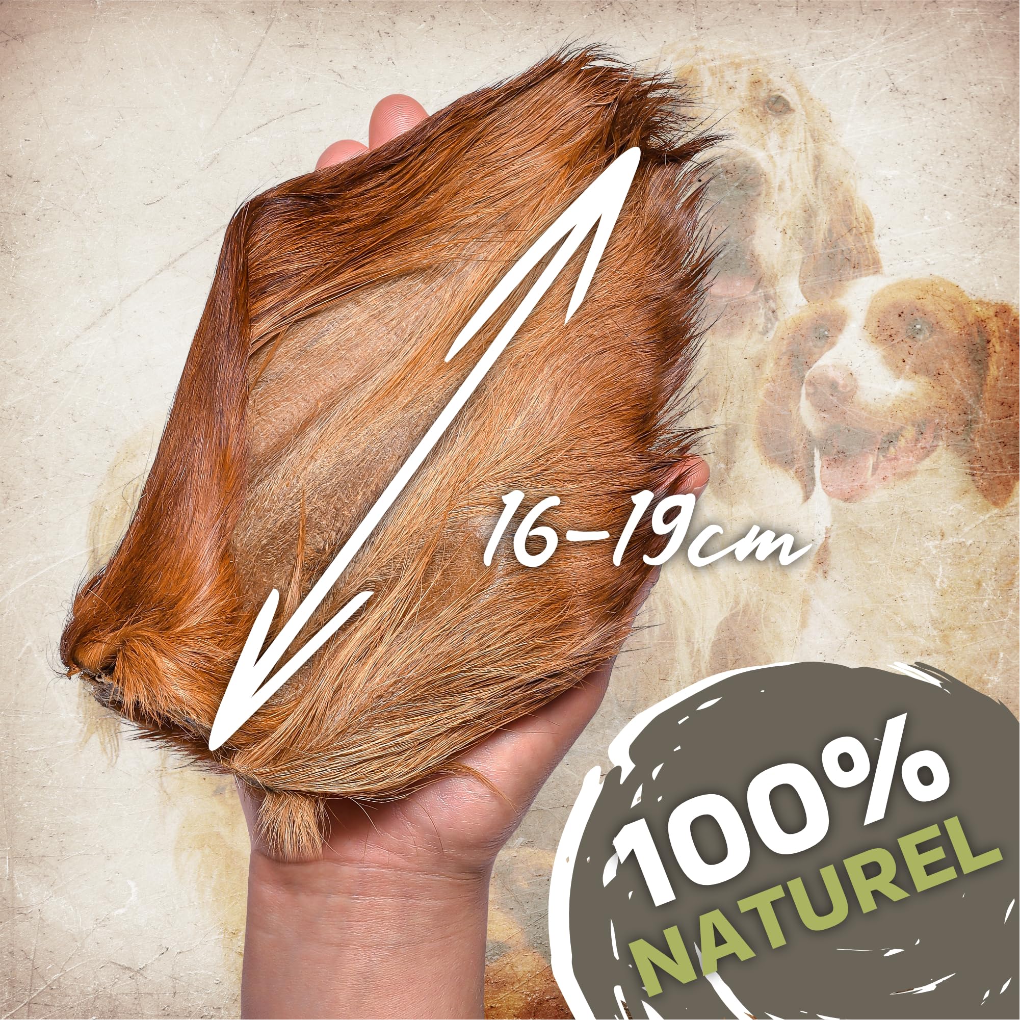 Lot de 10 oreilles de bœuf avec fourrure pour chien - Friandise naturelle à mâcher - Faible en gras et sans additifs - Article à mâcher de qualité supérieure pour les moments intermédiaires
