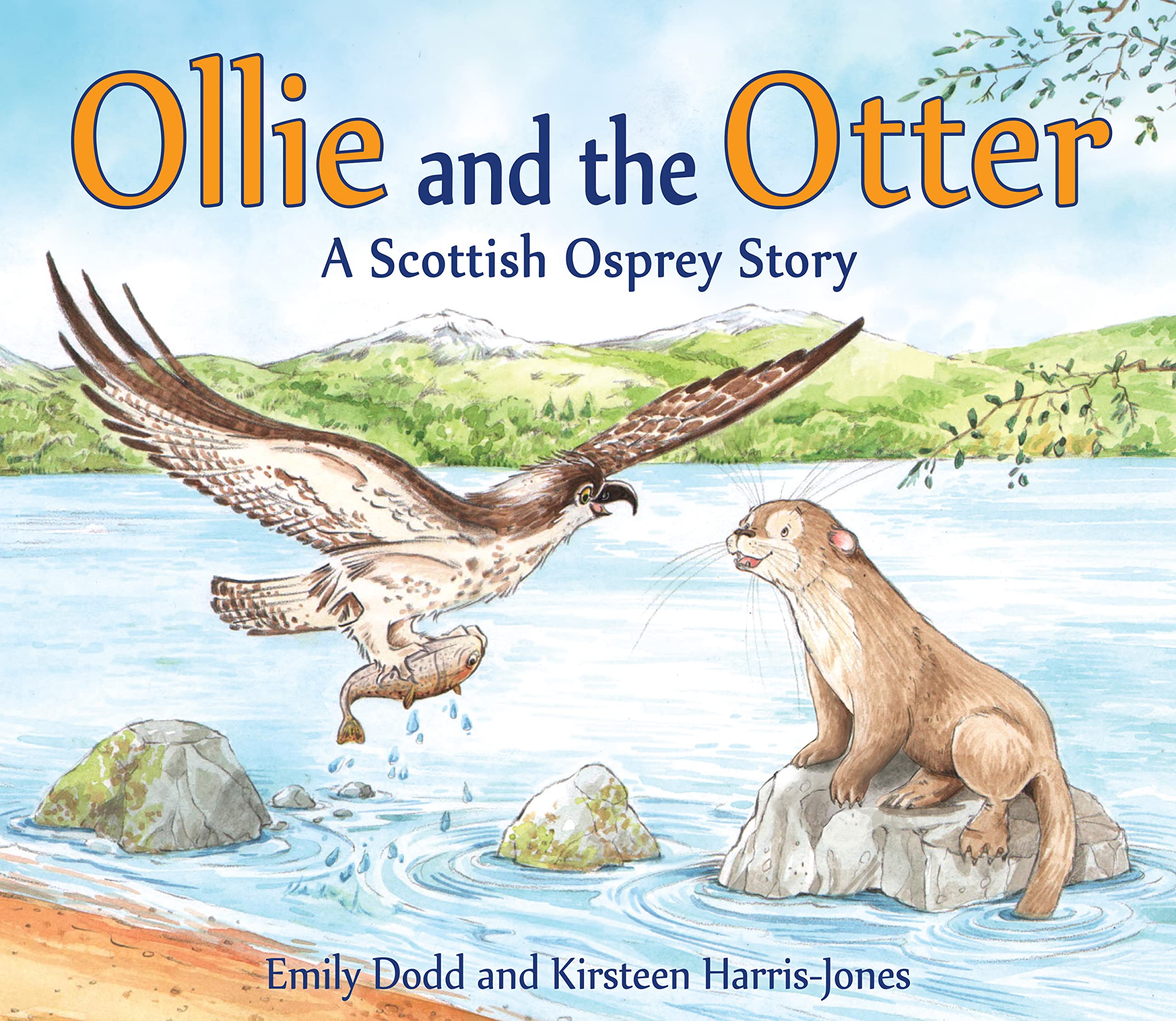 Ollie and the Otter A Scottish Osprey Story by Emily Dodd (Paperback Book)