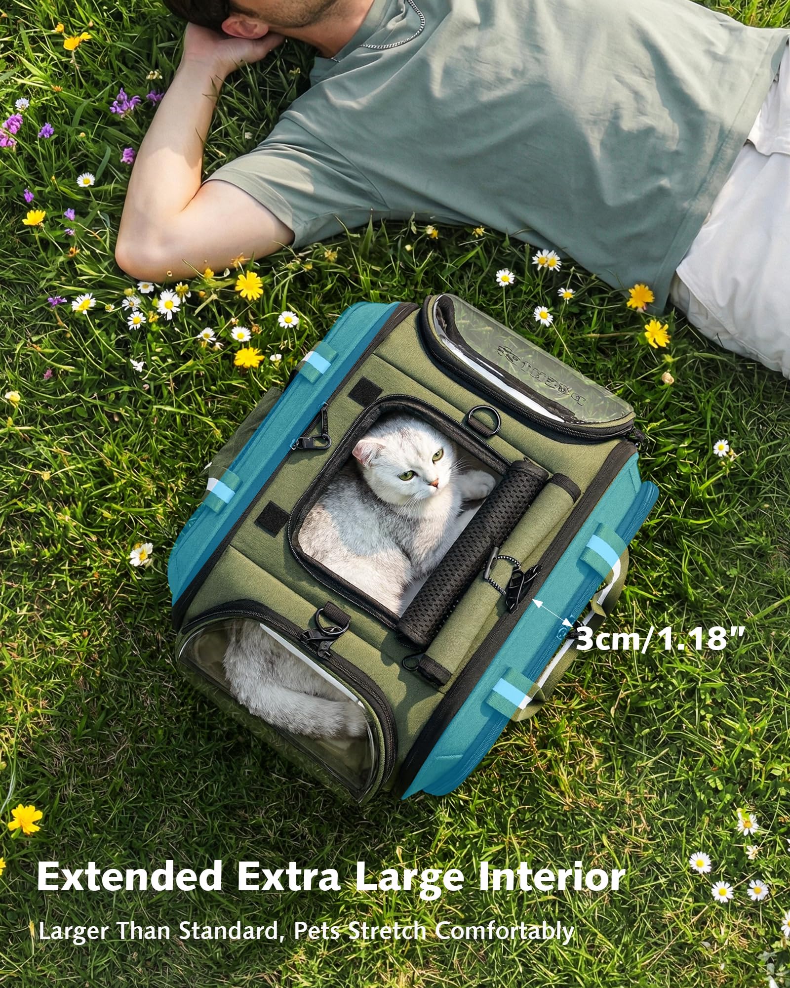 Pecute Sac Transport Chat Grande Capacité, Sac De Transport pour Chat Respirant, Stransport À Bulles pour Chats Curieux, Sac De Transport pour Chien, Vert, M