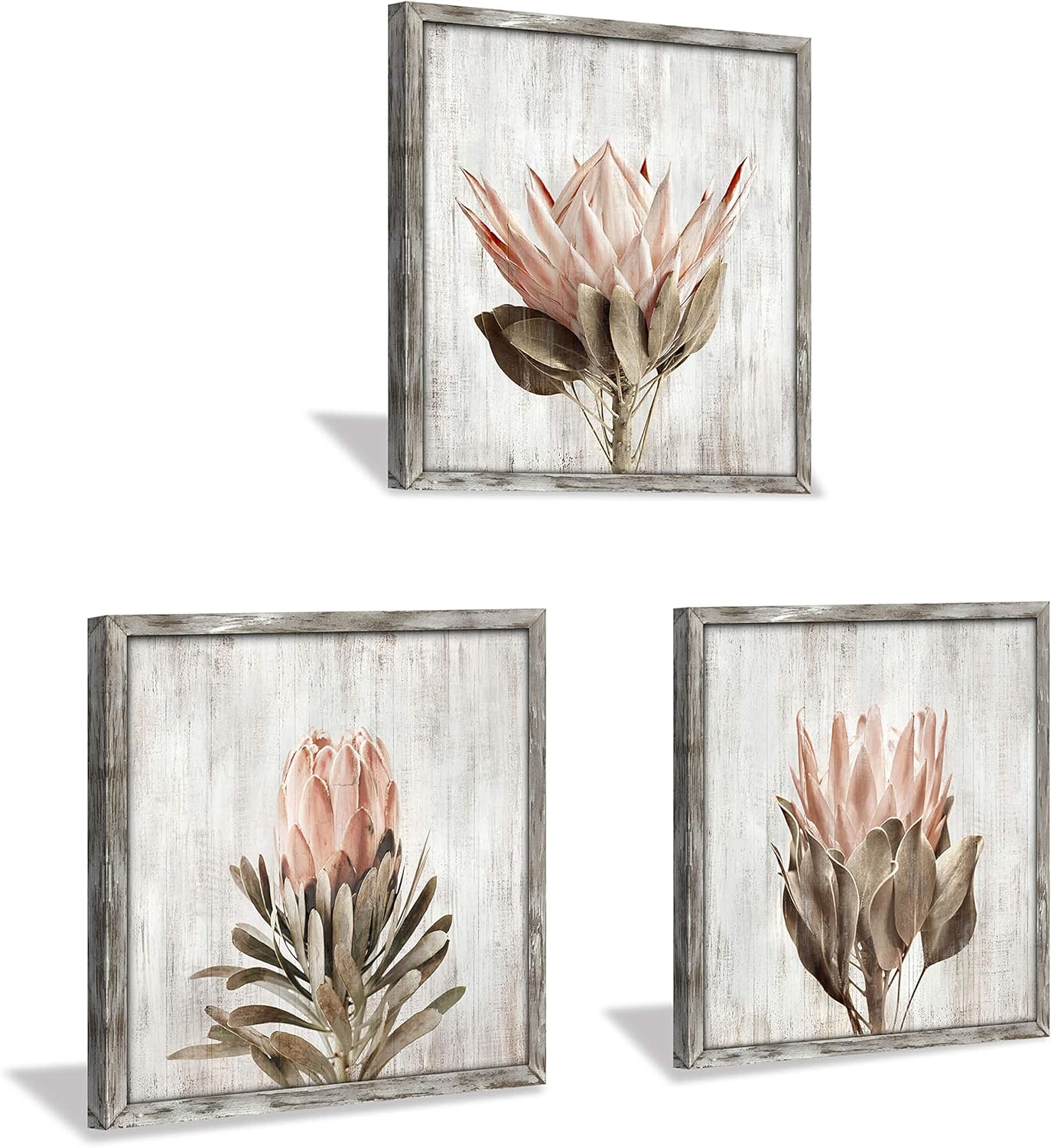 Pink Floral Wall Art Picture: Blossom Protea Flower Artwork Print on Rustic Wood Framed for Home Decor (12” x 12” x 3 Panels)