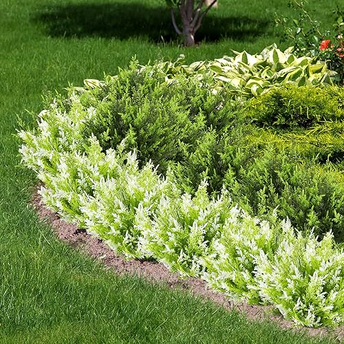 Miniatura 4 de Yuxung 30 piezas de agujas de pino artificiales, tallos de plástico sintético, plantas de vegetación de Navidad, palillos de cedro, arreglos de