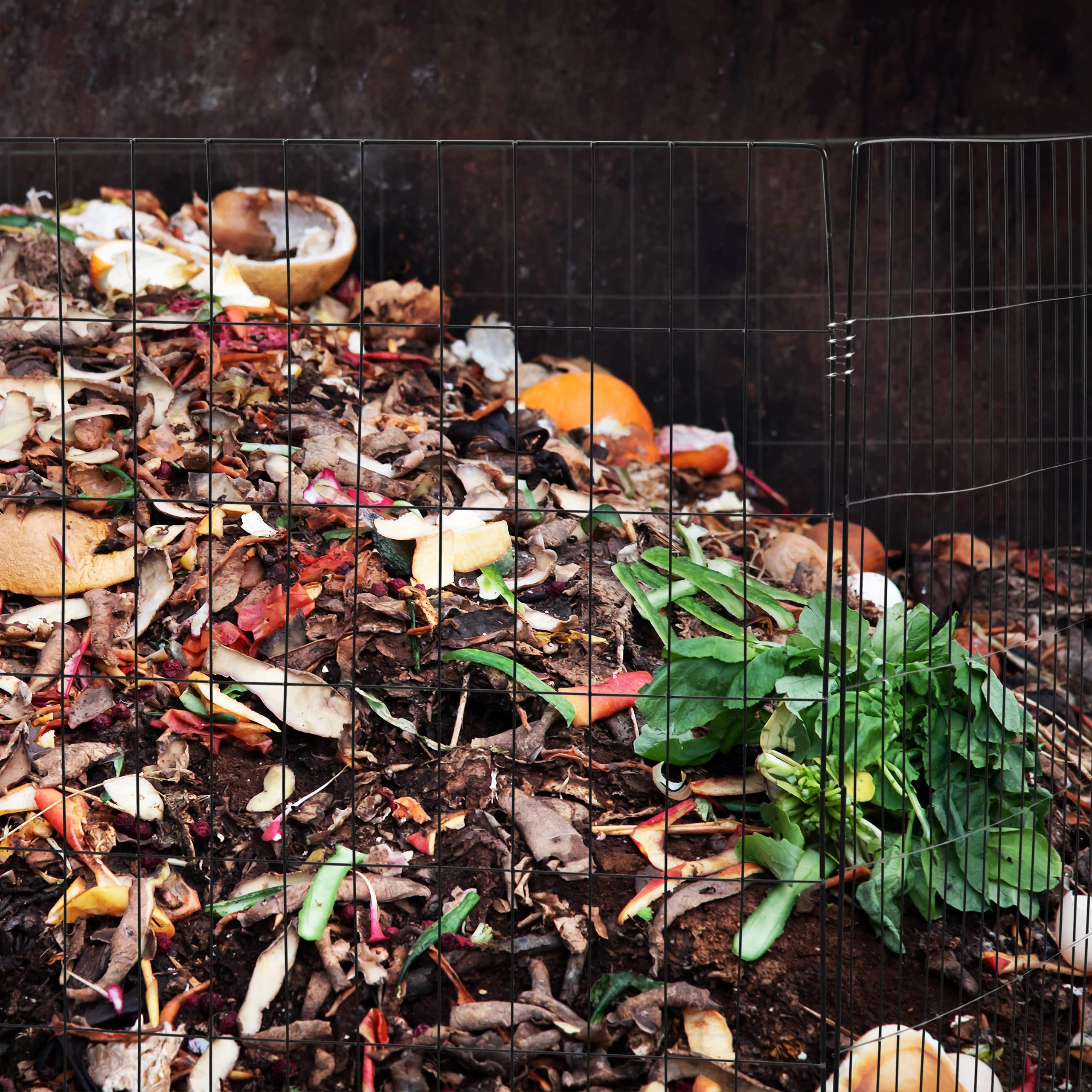 Relaxdays compostbak metaal, 68 x 46 x 46 cm, mini, met bodem, op poten, voor tuinafval, tuinafvalbak staal, zwart