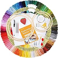 INSCRAFT 304-Piece Embroidery Starter Kit: 200 Colors Floss, 5 Bamboo Hoops, Aida Cloth, Tools & Bag for Beginners