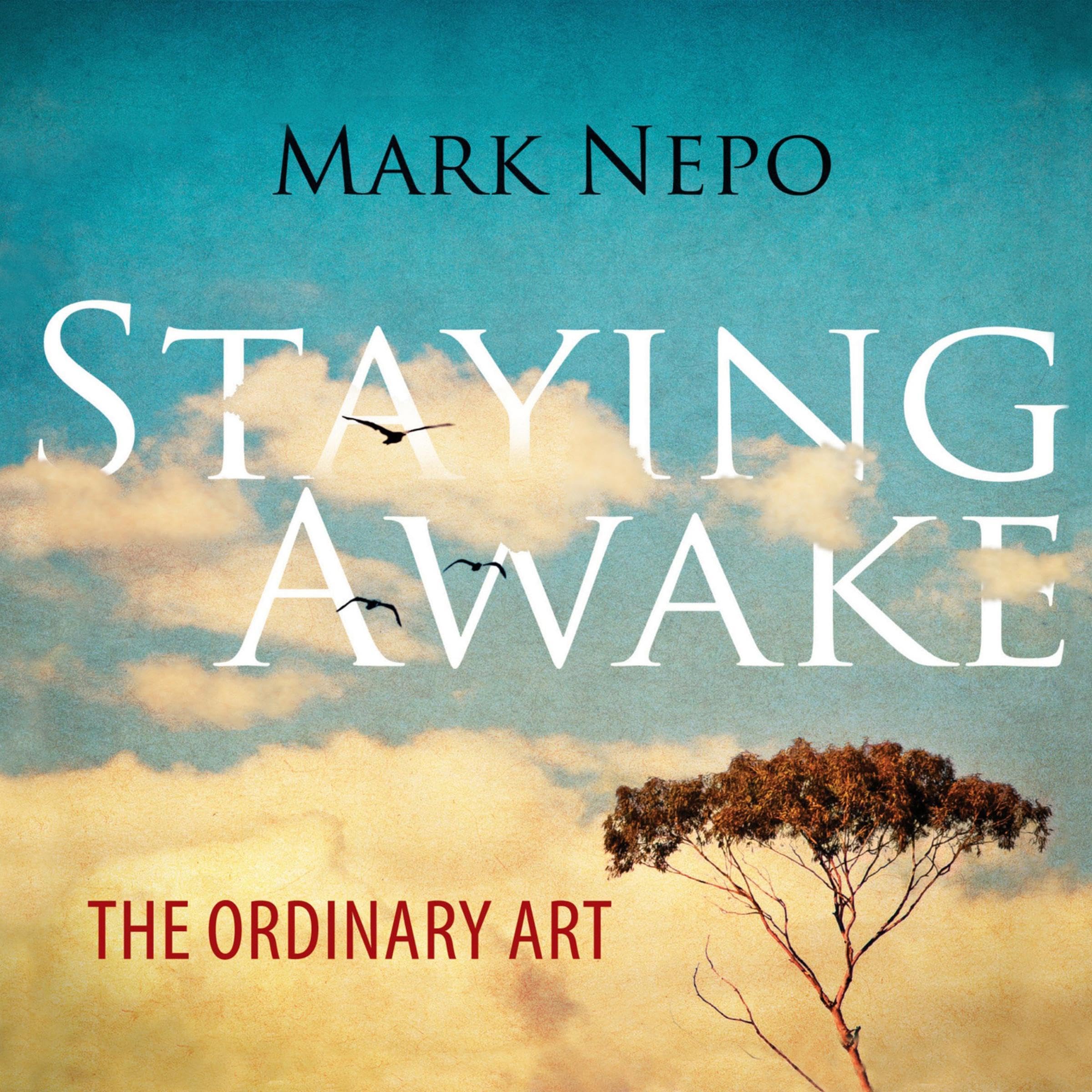 Cover art for Staying Awake