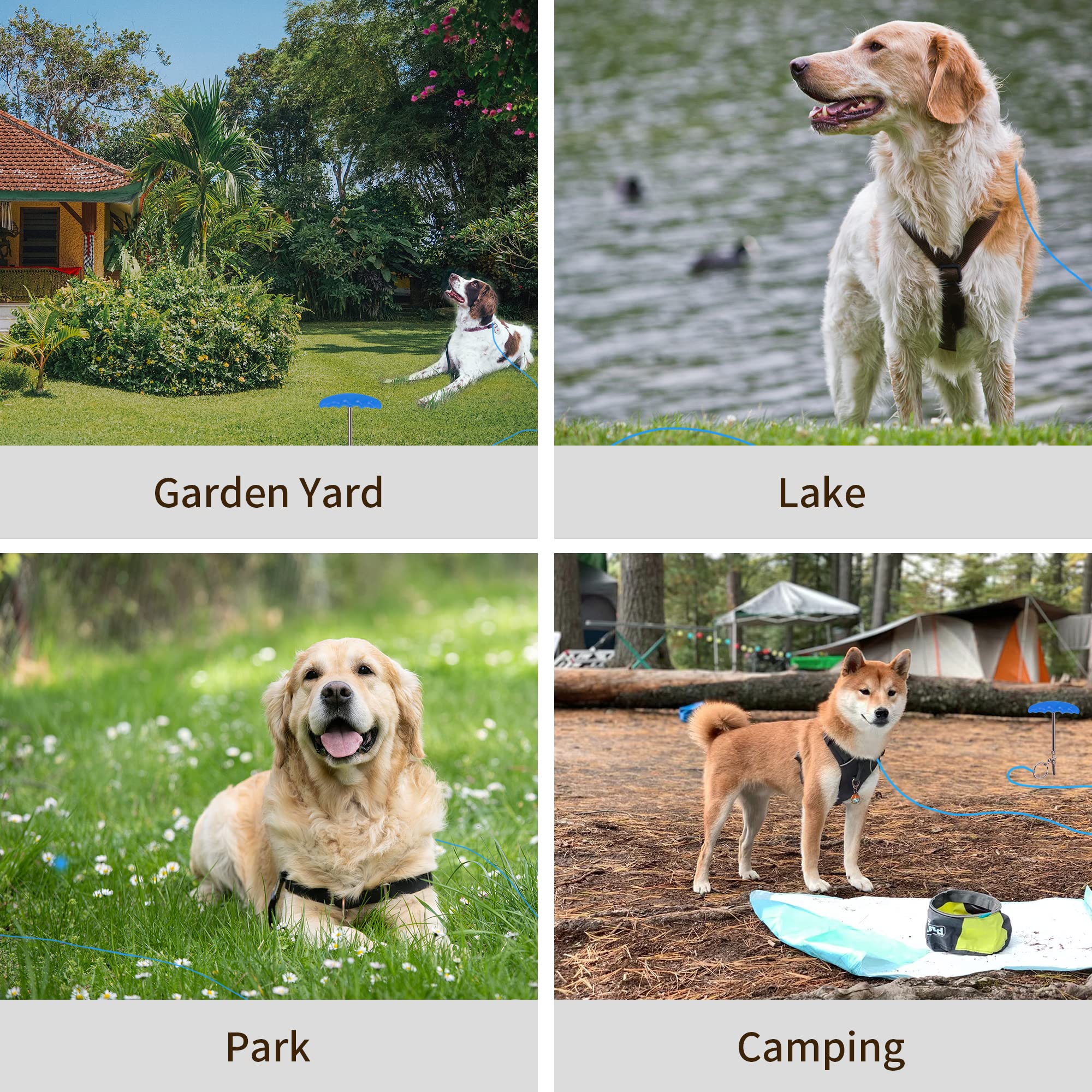Petphabt - Cavo resistente per cani da 3 m, per cani di grandi dimensioni, giardino, giardino, parco animali domestici, cavo blu 56,7 kg