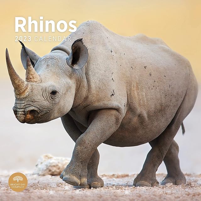 2023 Rhinos Monthly Wall Calendar by Bright Day, 12 x 12 Inch, Wild Animal Safari