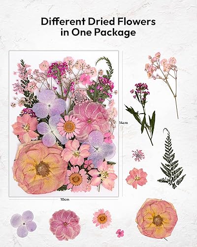 Vista 16 de Resiners - Flores secas, 100 piezas de flores prensadas para manualidades, color amarillo, flores secas naturales, kit de hojas secas