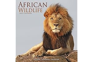 2023 Lion Wall Calendar