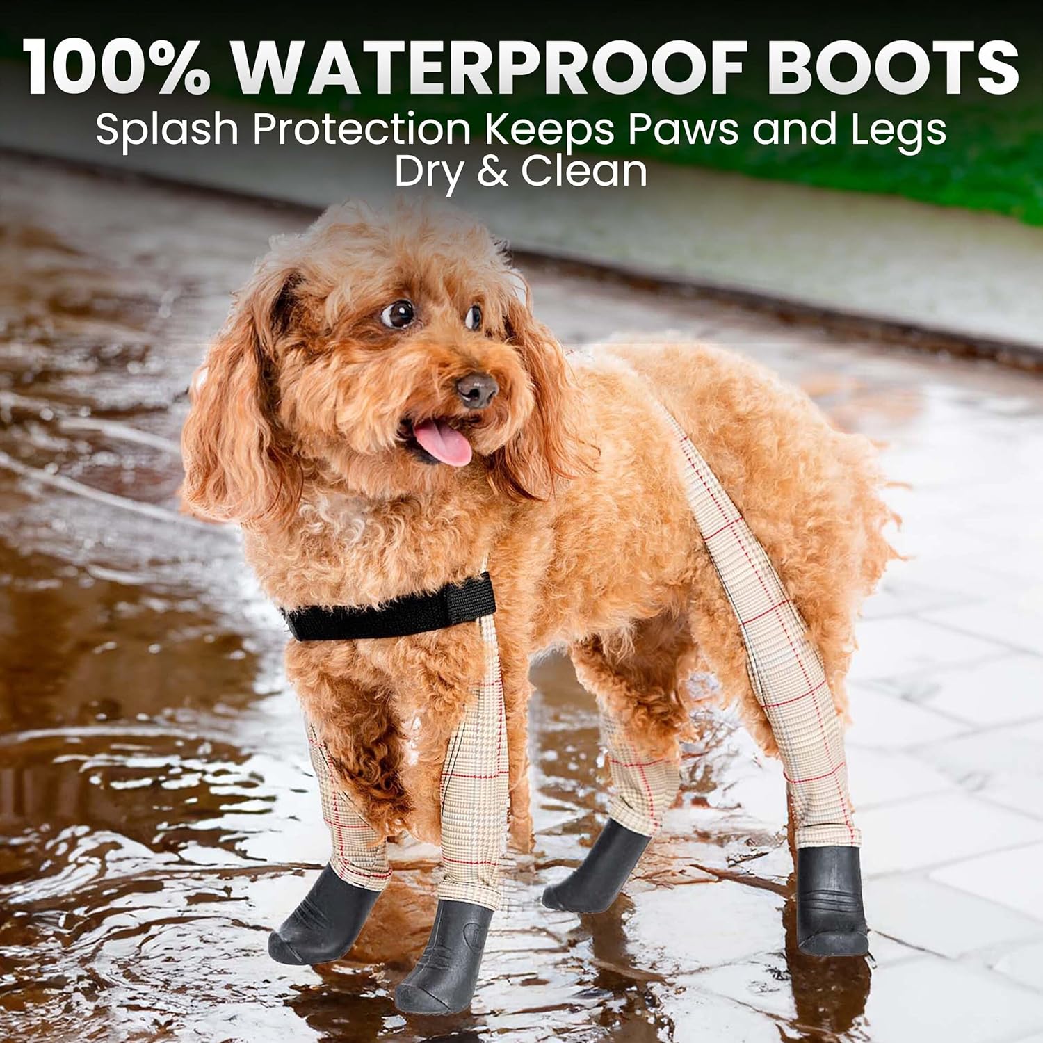 Walkee Paws Easy-On Dog Boots + Leggings & Chest Strap - Waterproof Dog Booties for Small to Medium Sized Dogs, Dog Rain Boots, Dog Boots for Hot Pavement Protection (Medium, Beige Plaid)