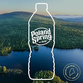 Poland Spring Maine Spring Bottled Water - 16.9 Fl Oz, 24 Pack