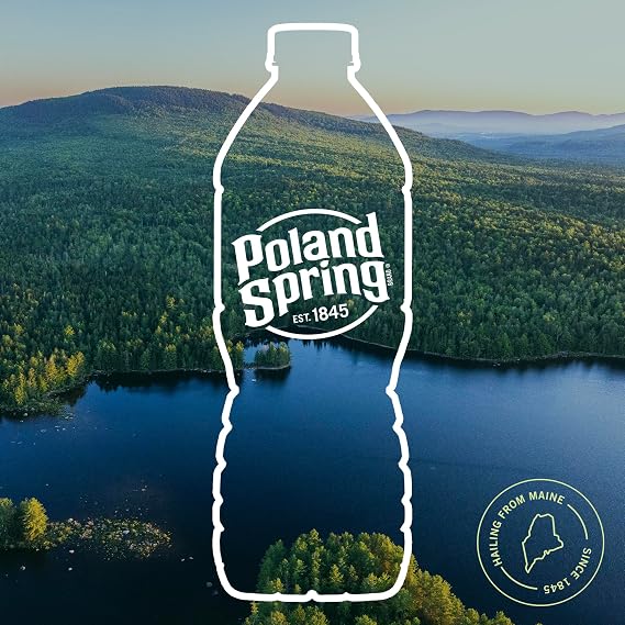 Poland Spring Maine Spring Bottled Water - 16.9 Fl Oz, 24 Pack