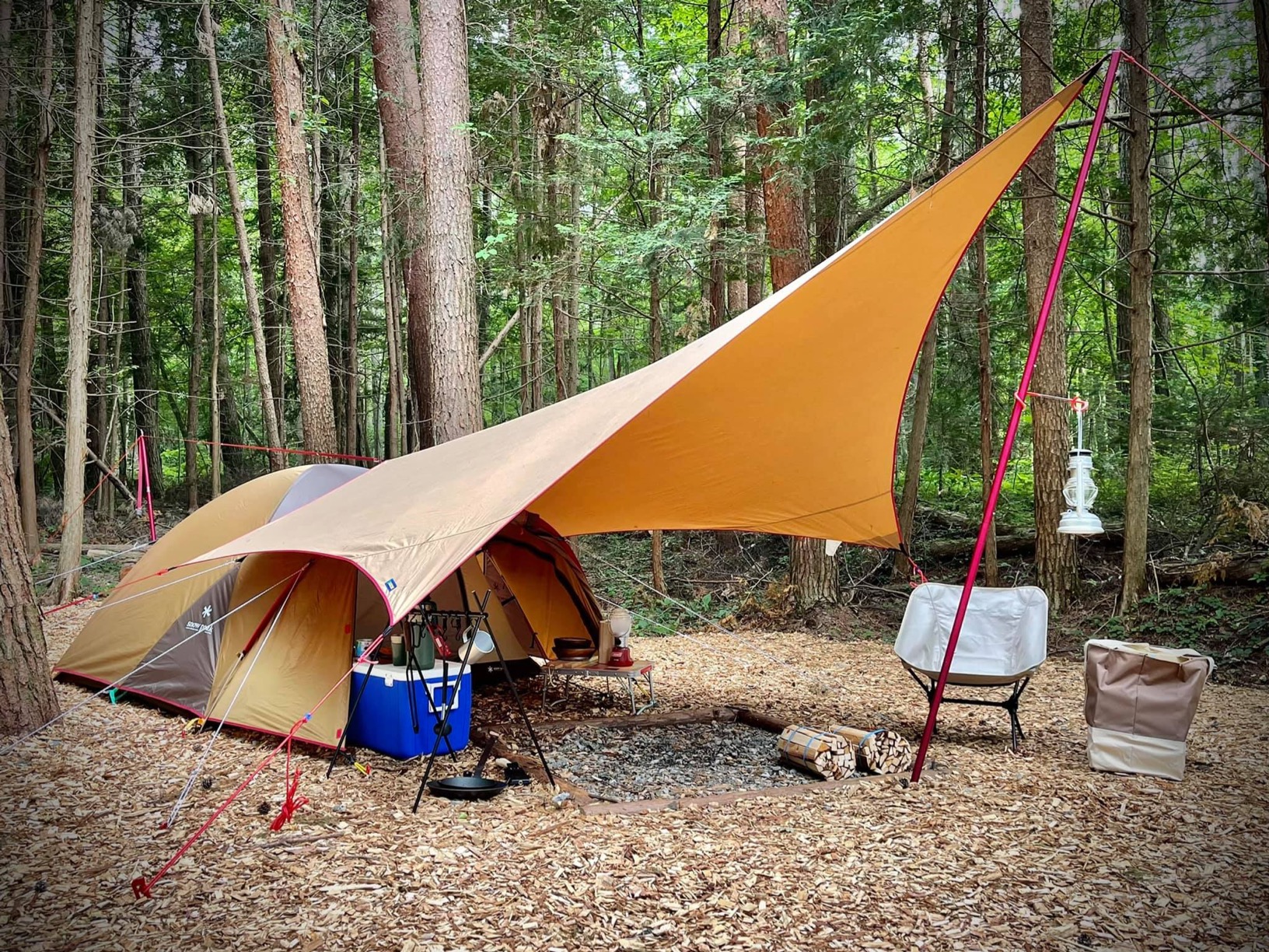 91GAcA3kZUL.jpg 91GAcA3kZUL.jpg