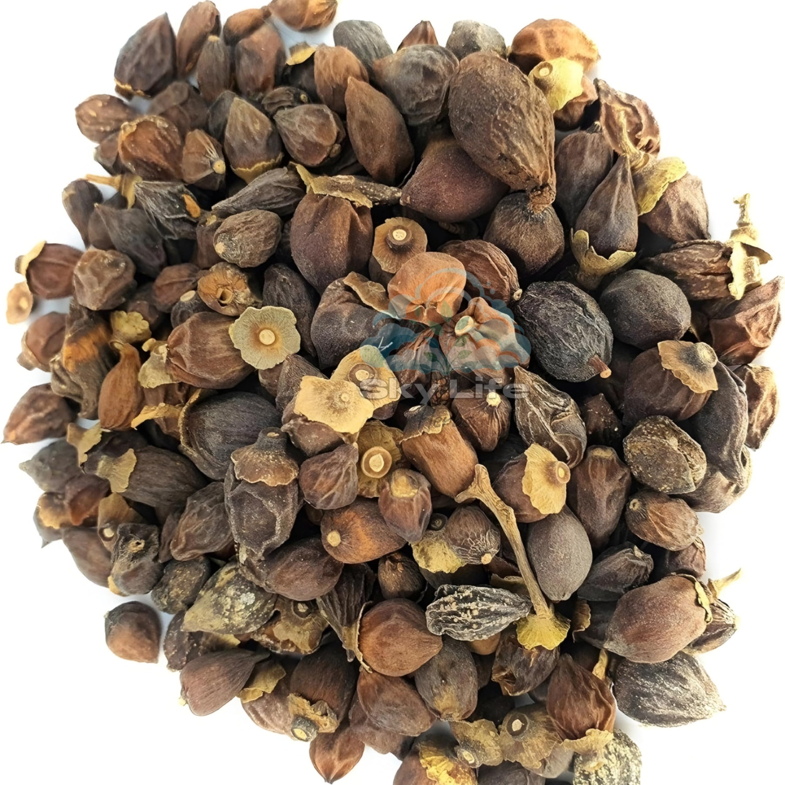 Sky Life® Dry Lasoda - Dry Lesus - Gunda - लसोड़ा - 100Grm